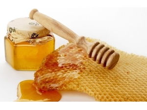 �庮ʪ���ص���Ⱥ�ٳԷ���