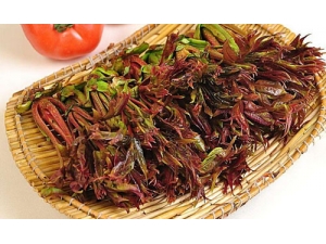 ������� ��Щ�߲˲�����