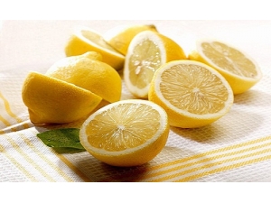 �Ŷ����վ͵��������8����ʳ