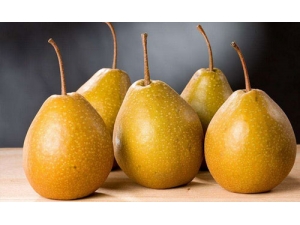 �����ϻ���ʳ�������������