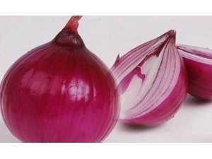 �����ѡ����Ӫ����ֵ�����