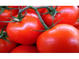 ����ǿ��ô�쳣����Щʳ�������