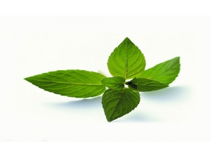 ����Ҷ�Ĺ�Ч������Ч��