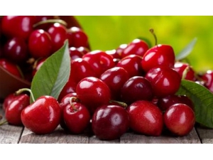 �����������ݵ�ʳ������Щ