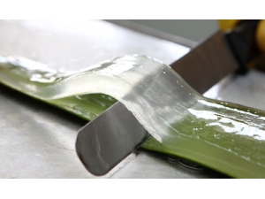 ��ҽ����«���Ĺ�Ч������