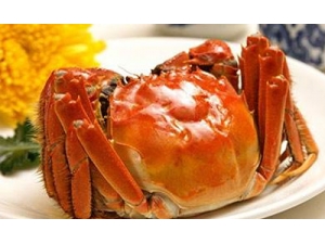 �и����ܳԵ�ʳ������Щ