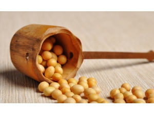 �̵��鷿�������޵�ʳ��