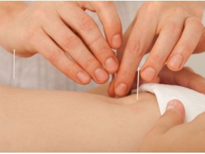 ��������ή�������Ʒ���