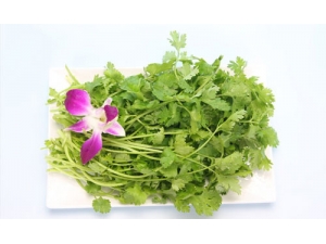 ��˰��ܲ����������գ�