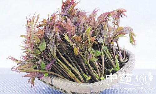 ֳζʳ Ů˵⽡ʿ.jpg