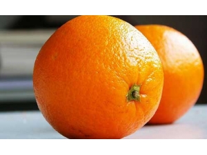 ���̵�Σ�� ���̵�ʳ������Щ