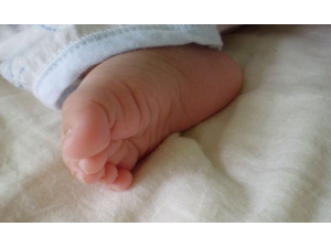 �������ů��