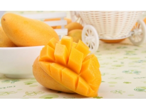 ��â���кô�Ҳ�л���