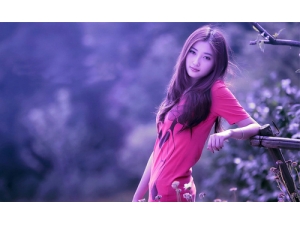 ���ʾ��и��������