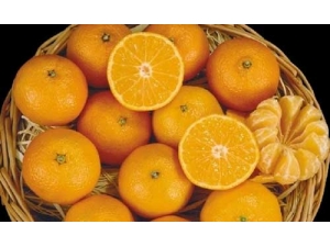 ��Щˮ����Ϊ��ļ���ע������