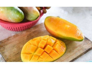 �γ��δ���ô���� ����������Ҳ������