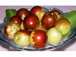 �������ʱ���ʲôʳ�����