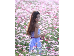 һ��ƽ�� ����ƫ��