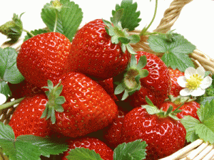 �������̵ʪ���� ����Щˮ���Ϳ���