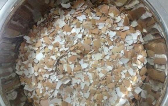 中药凤凰衣图片