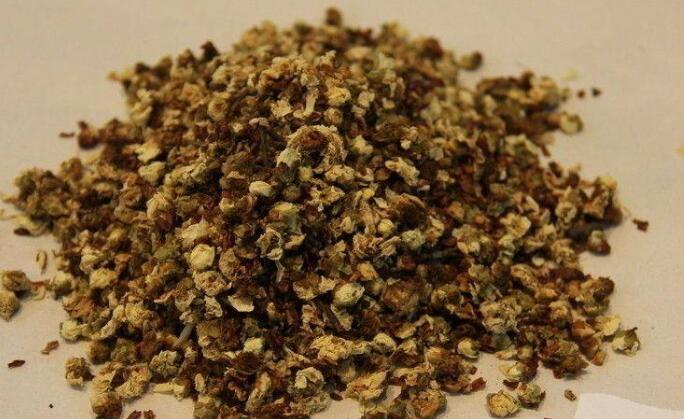 中药材梅花图片