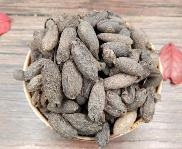 中药材母丁香图片