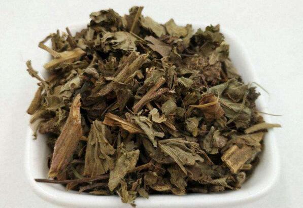 中药材蓝布正图片