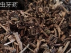 中药材虫牙药图片
