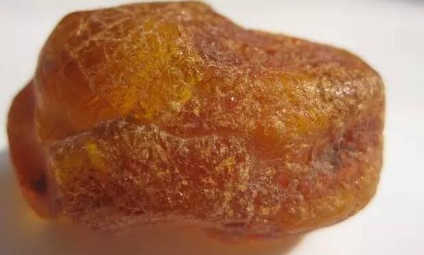 中药材龙涎香图片