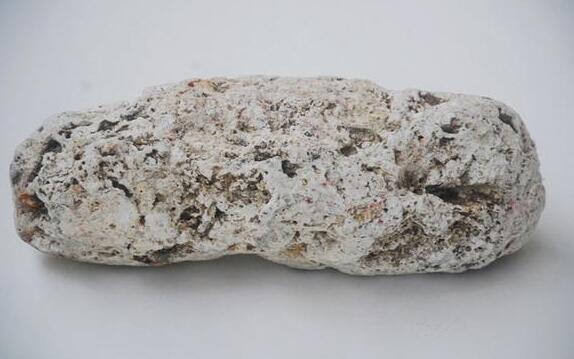 中药材龙涎香图片