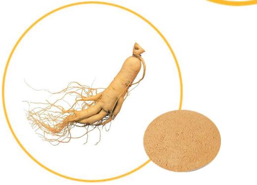 �˲�����rh2�����ٰ�����Ч��