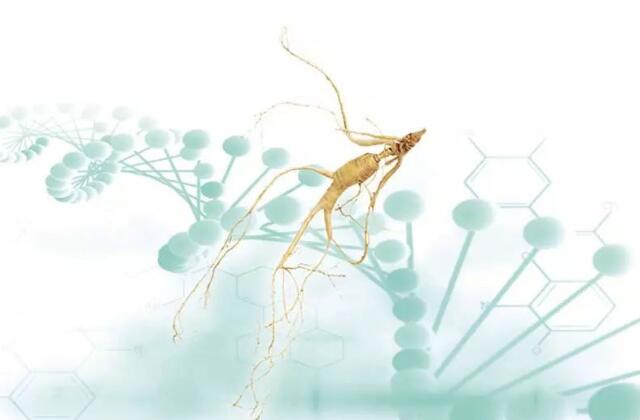 ���������ƿ����˲�����Rh2��