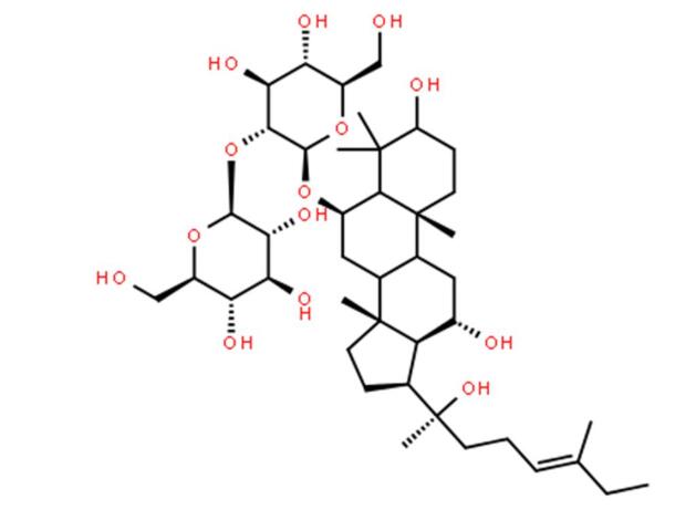 �˲�����Rh2�����ڸΰ�����