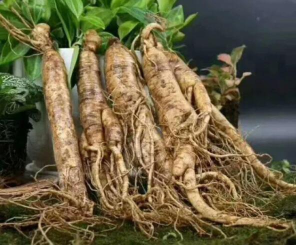 �ӹ���Ĥ���������˲�����Rh2����