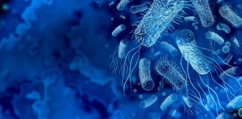 �������������ֺã��Ƽ�lifespace����������