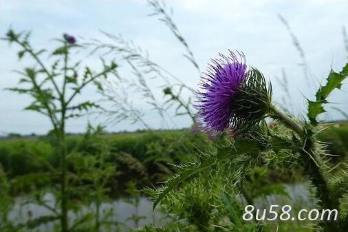 ˮɼĹЧãЩ֪ʶ㶼Ҫ֪