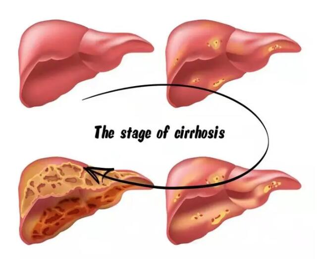 ����ָ�ϣ���ѡˮ�ɼ��Ϳ������㣡��