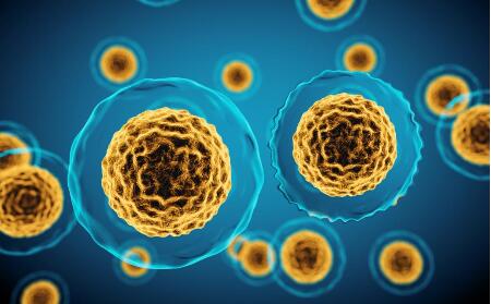 ��ס��п�˥�ϣ�ר��������