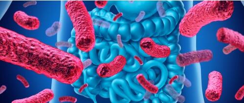 �������������������й�ϵ