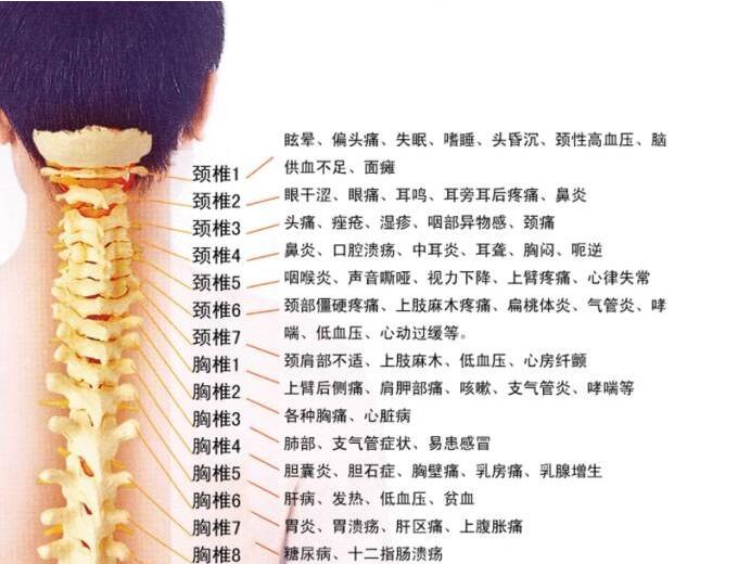 缹 | ʽΪʲô𱬡Ȧ