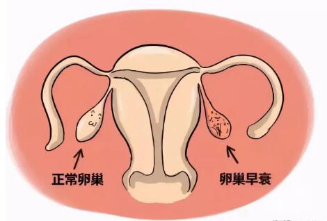 ӱֳҽԺֳҽѧƣѳ˥˻ϲӭ