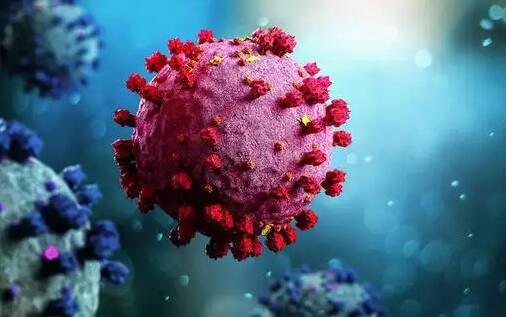 �¹ڷ��������г�����������