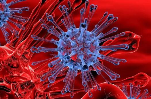 ������ʡ�����¹ڷ�����ҽҩ���η����������������������˫˫����