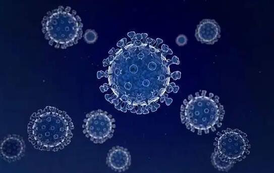 ���������Ͳ���ҿ���������